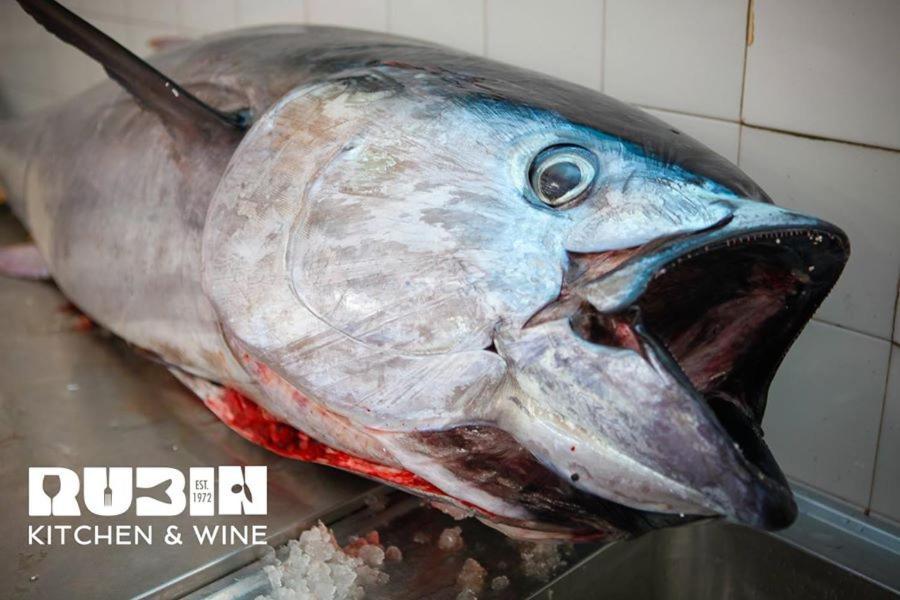 Rubin Kitchen&Wine Rooms Криквеница Екстериор снимка